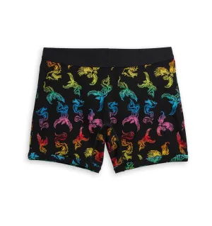 6" No Fly Boxer Briefs - Rainbow Phoenix