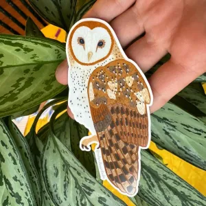 Barn Owl Vinyl Sticker