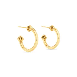 Berry Slice Small Hoop Earrings - Gold