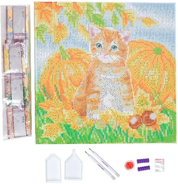 "Autumn Cat" 30x30cm Crystal Art Kit