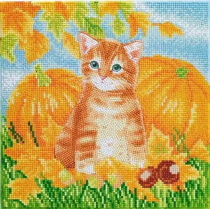 "Autumn Cat" 30x30cm Crystal Art Kit