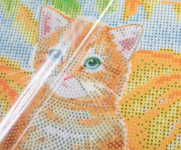 "Autumn Cat" 30x30cm Crystal Art Kit