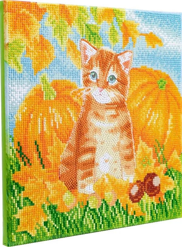 "Autumn Cat" 30x30cm Crystal Art Kit