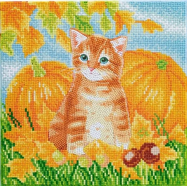 "Autumn Cat" 30x30cm Crystal Art Kit