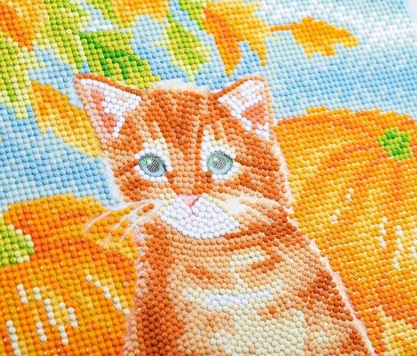 "Autumn Cat" 30x30cm Crystal Art Kit